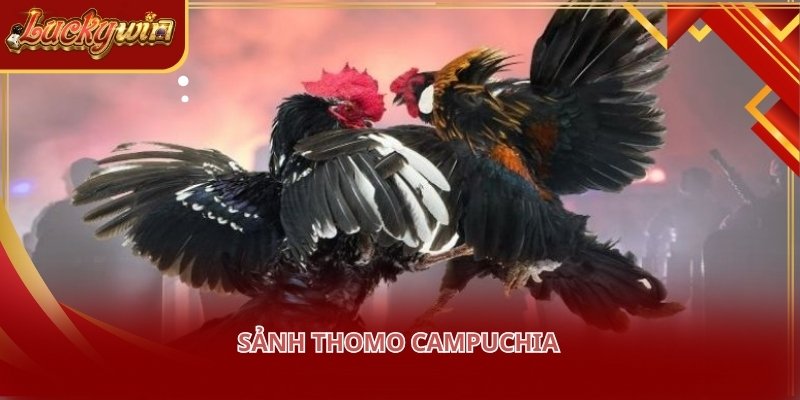 Thomo là điểm đến của những trận đấu đỉnh cao mang đậm tính kỹ thuật